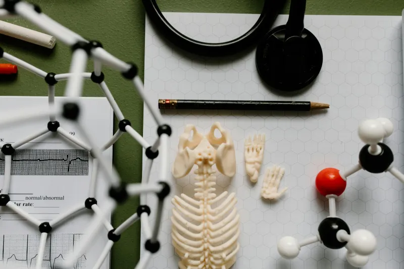 The Butcher's Son Who Taught Doctors How Bodies Really Work