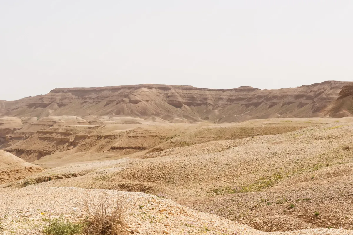 Judean desert