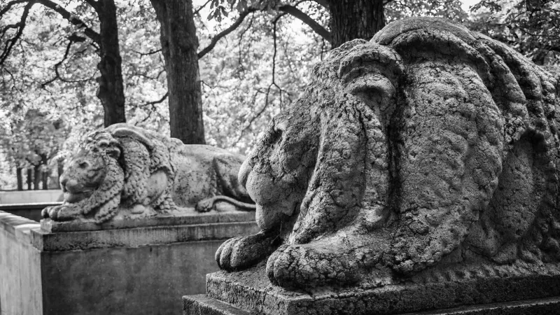 The Divine Call That Came at Closing Time